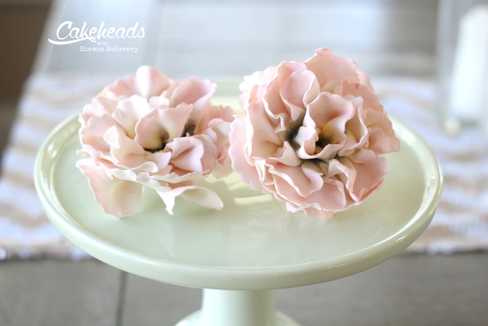 easy peony