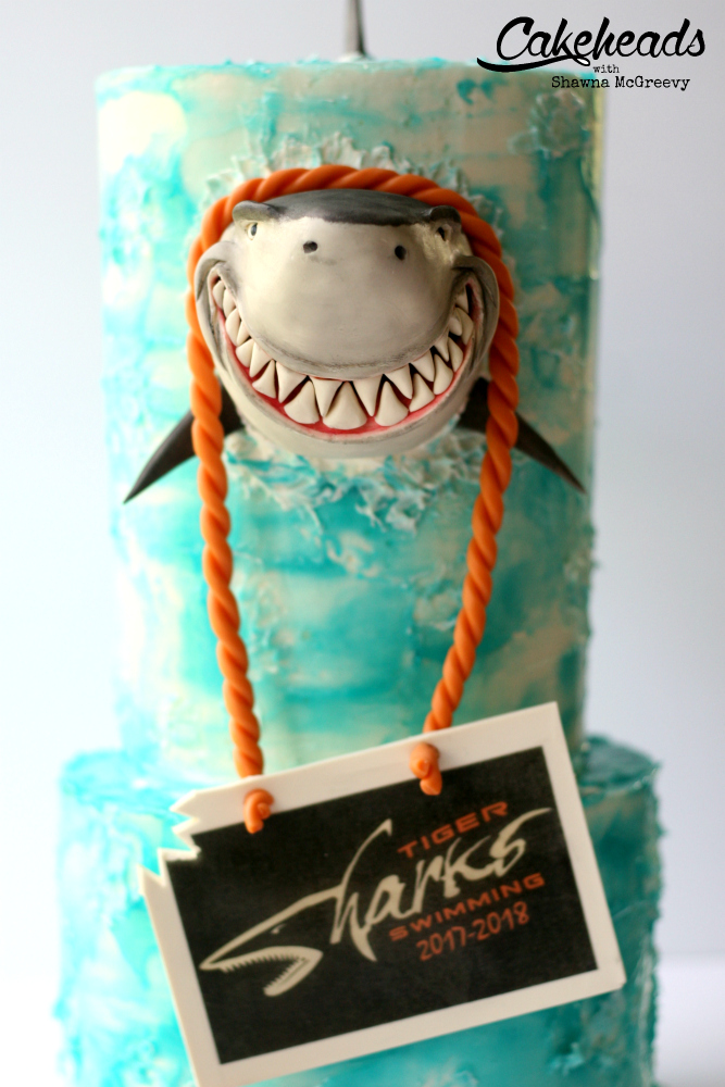 front-close-tall shark