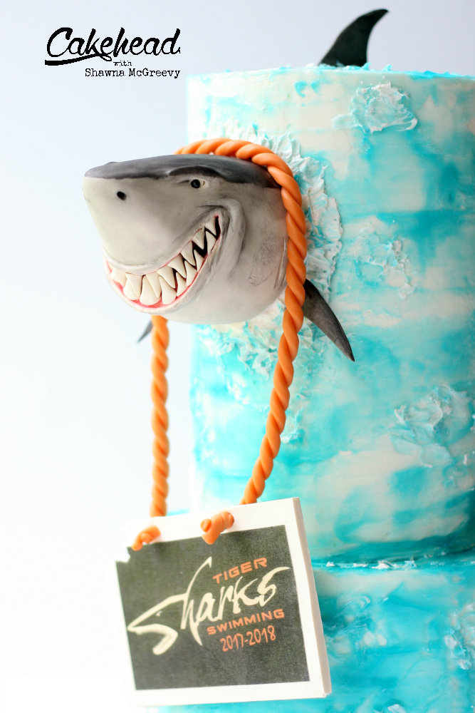 shark close-angle