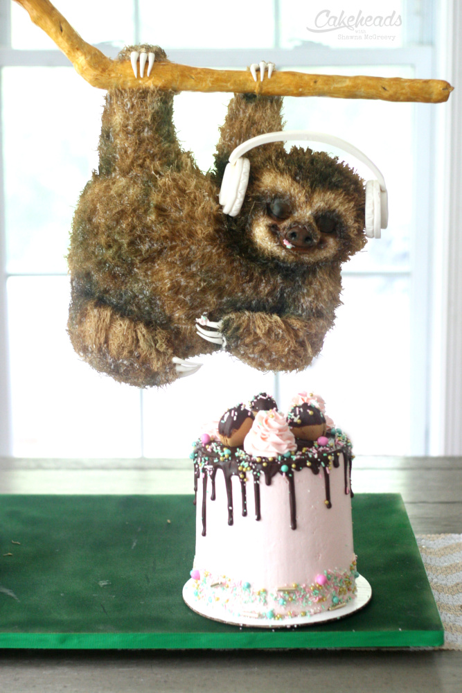 sloth cake close