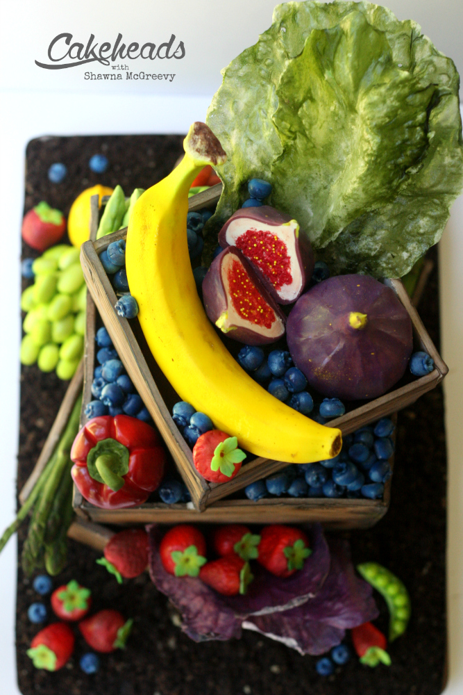 veggie create top-view
