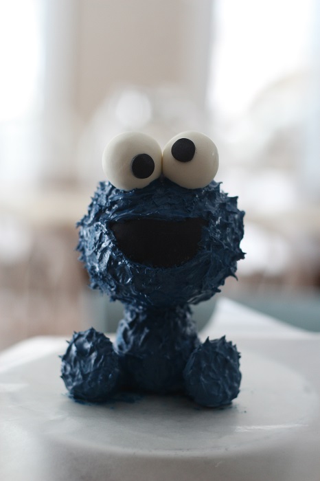 cookie monster 5