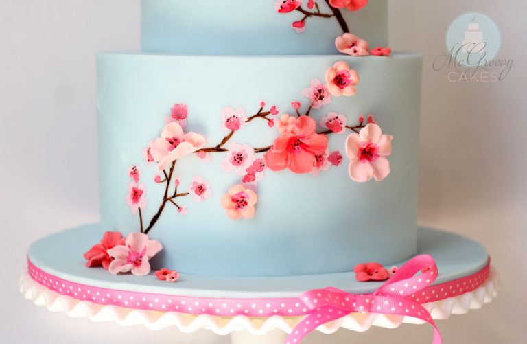 cherry blossoms