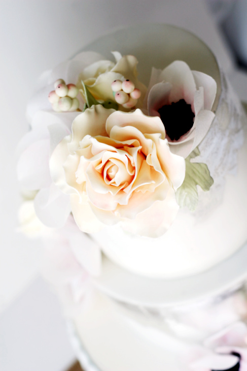 chocolate rose 7