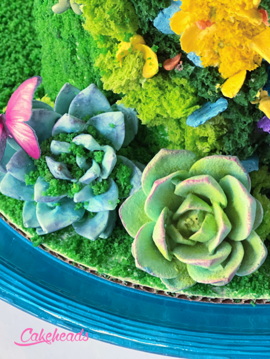 succulents 1