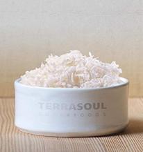 Terrasoul Superfoods Organic Shredded Coconut, 1 Lb