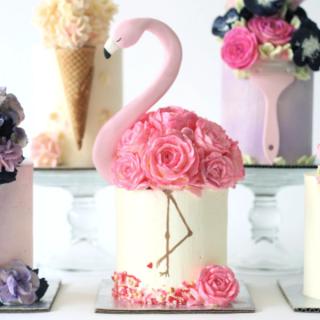 flamingo cake sm sq